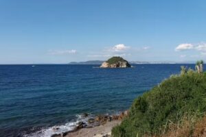 Residence Villa La Pineta Di Fedi Dante