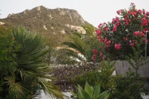 Residenze Sa Murta Marina