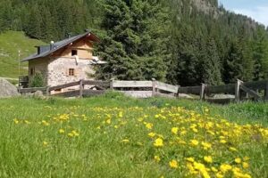 Rifugio Baita Monte Cauriol