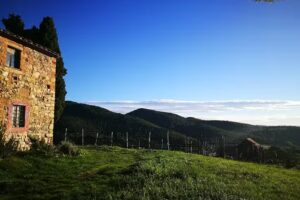 Rifugio delle Poiane