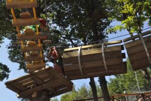 Rifugio Escursionistico Cotaline 1400