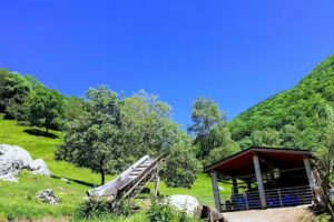 Rifugio Terz’Alpe Agriturismo La Fattoria