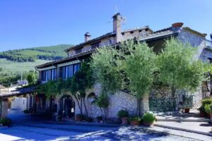 Ristorante L’Ulivo