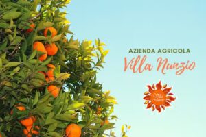 Ristorante Villa Nunzio