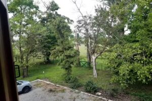 Room & breakfast Gambisa Street