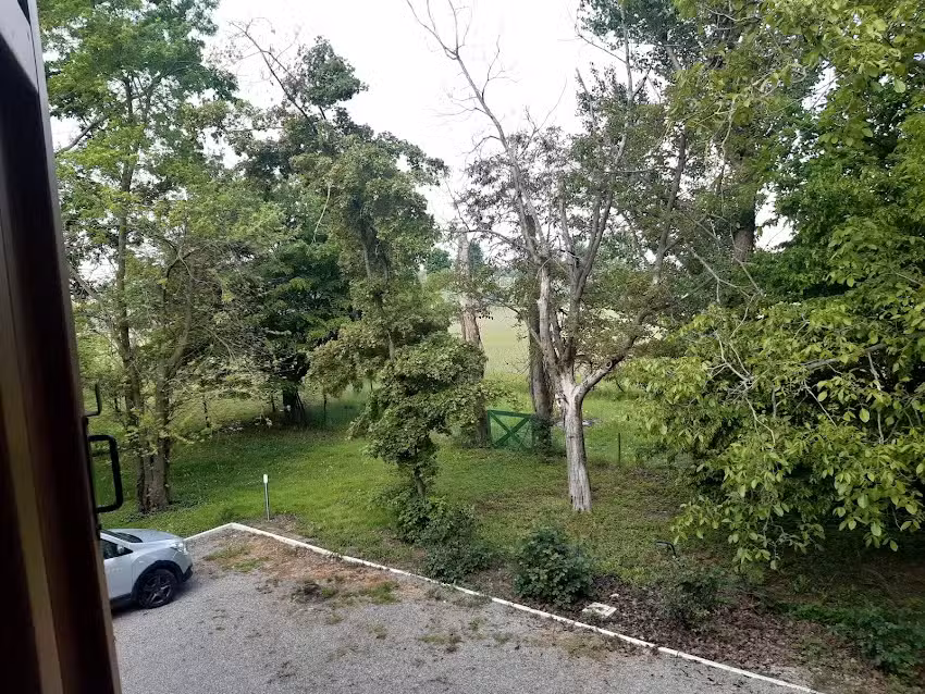 Room & breakfast Gambisa Street