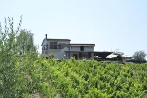 Rosadimaggio, Agriturismo