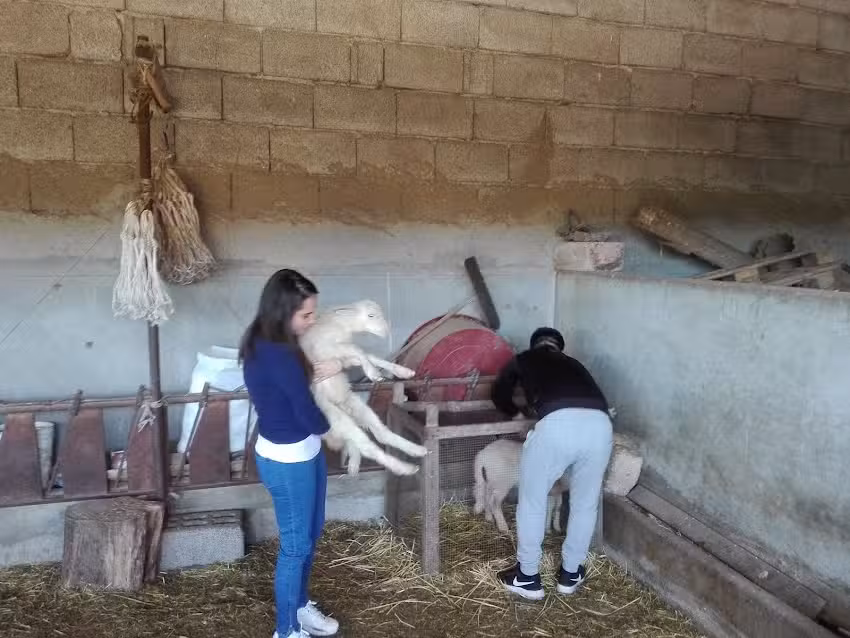 Sa Ucca ‘e Mammuscone