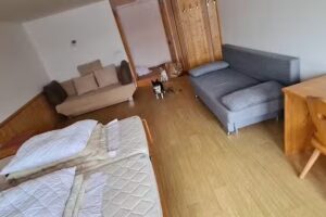 Saderhof – Hofschank & Zimmer