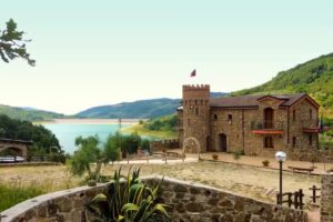 Saint George by Agriturismo Spinaruccoli