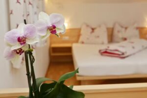 Salahaus – Ferienwohnungen / Appartamenti vacanze