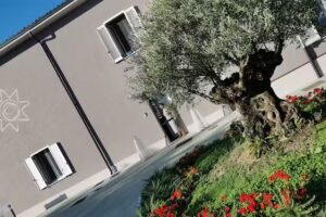 SAMA di Benedusi Valeria