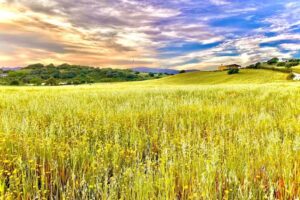 San Leonardo Country House