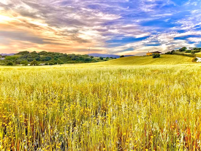 San Leonardo Country House