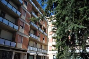 Sansovino Bed And Car