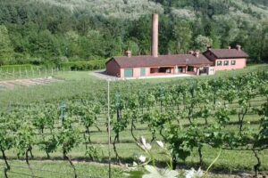 Santa Croce Missaglia Cantina&Agriturismo