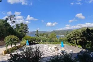 Scacco Matto Di Lamincia Vittor Ugo E C. S.N.C.