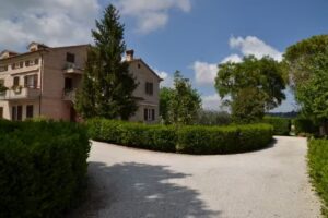 SCHITO 114 COUNTRY LIFE