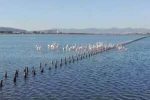 Sea View Golfo degli Angeli