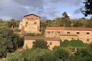 Sicily Authentic Vibration Santo Pietro