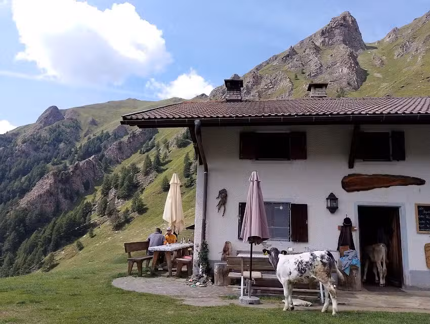 Simile-Mahd-Alm-Hütte