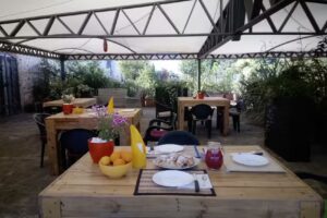 Societa Agricola Mg Florplant S. R. L.