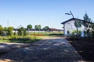 Società Agricola Oriolo