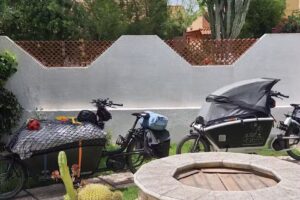 Sole d’oro I.U.N. S4354