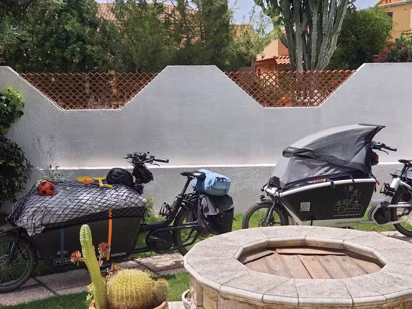 Sole d’oro I.U.N. S4354