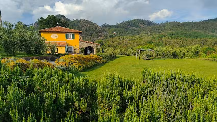 Sostio a Levante di Colzani Laura