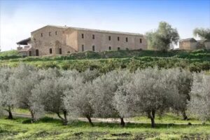 Sperone Agriturismo – Agripsale srl