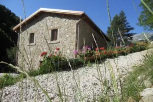 Stella Alpina Bed & Breakfast