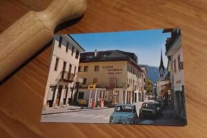 Stella d’Oro Lamon