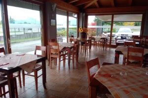 Steva del Marchi Agriturismo – vendita vino – bed & breakfast