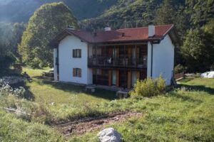 Storie di bosco B&B