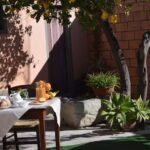 Su Fassoi Bed e Breakfast