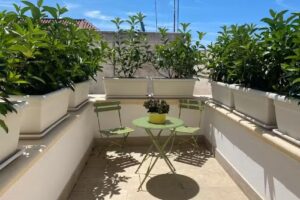 Suite il ritrovo dei poeti