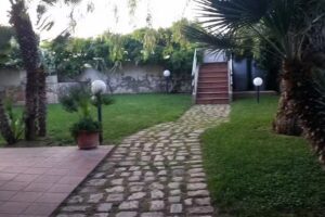 Sunshine on the Port