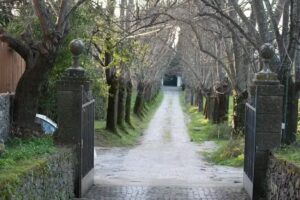 Switchome Scambio Casa