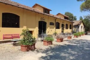 Tenuta Bio di Paganico