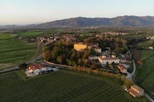 Tenuta di Frassineto – Tuscan Winery / Wine Tasting and shop / Cantina Toscana ad Arezzo