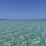 Tenuta Don Salvatore