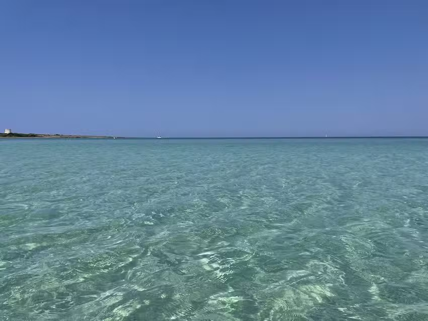 Tenuta Don Salvatore