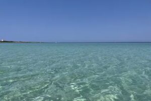 Tenuta Don Salvatore