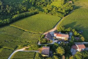 Tenuta Gambalonga Residence