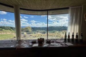 Tenuta Il Quinto Societa’ Agricola A R.L.