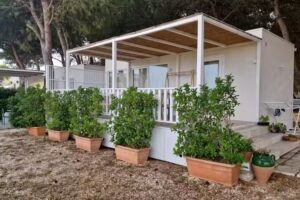 Tenuta L’Alba di Monte Matino agricampeggio