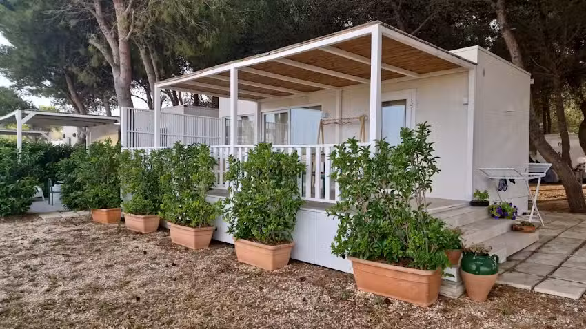 Tenuta L’Alba di Monte Matino agricampeggio