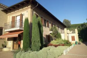 Tenuta La Pergola VINI e DEGUSTAZIONI