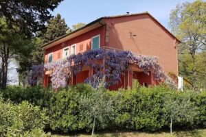 Tenuta La Valle – Your Tuscany